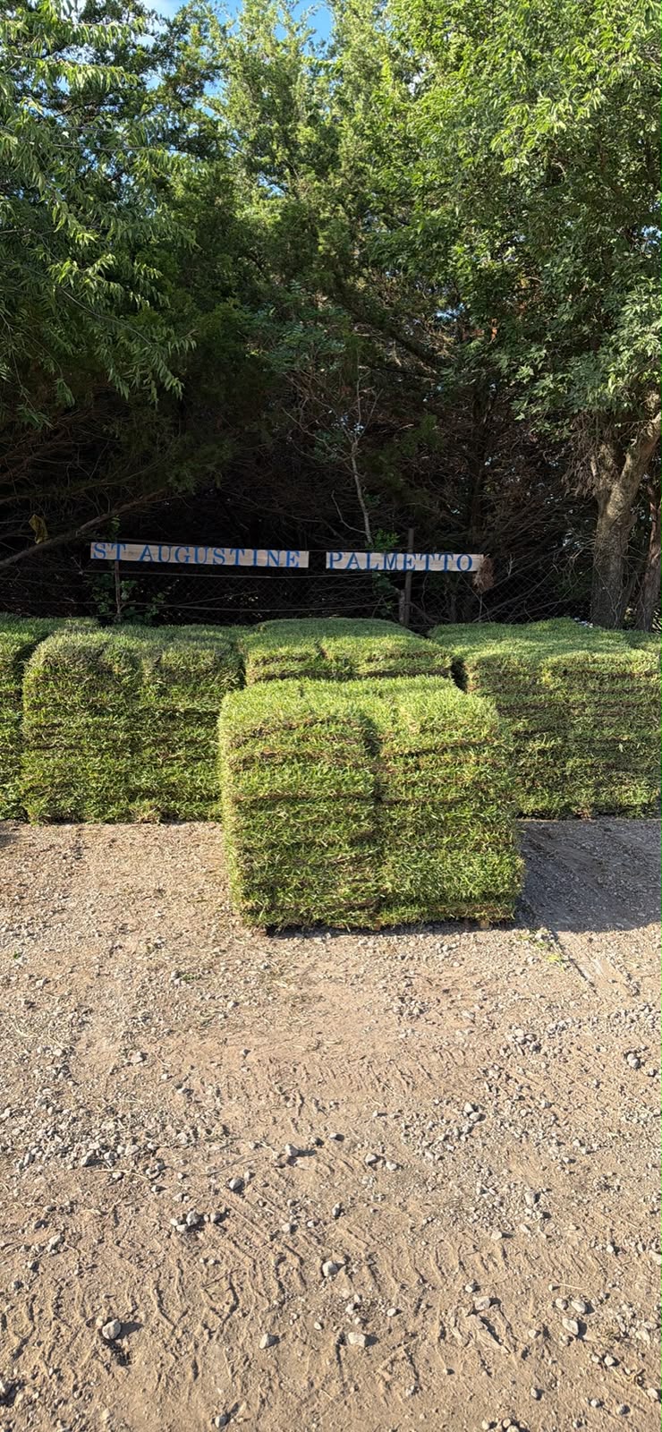 St Augustine Palmetto pallets